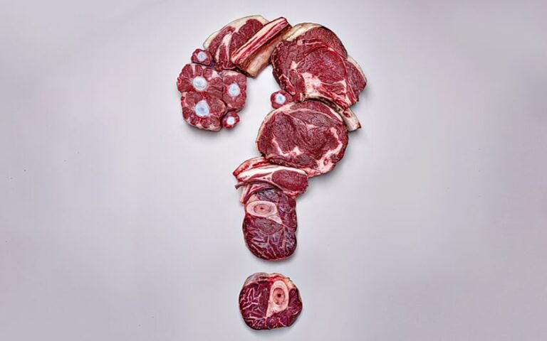 You must stop eating Meat!