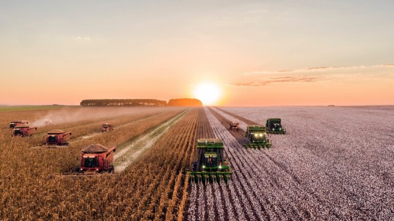No Farming  = Famine