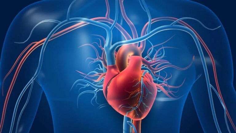 Understanding Troponin may give you palpitations