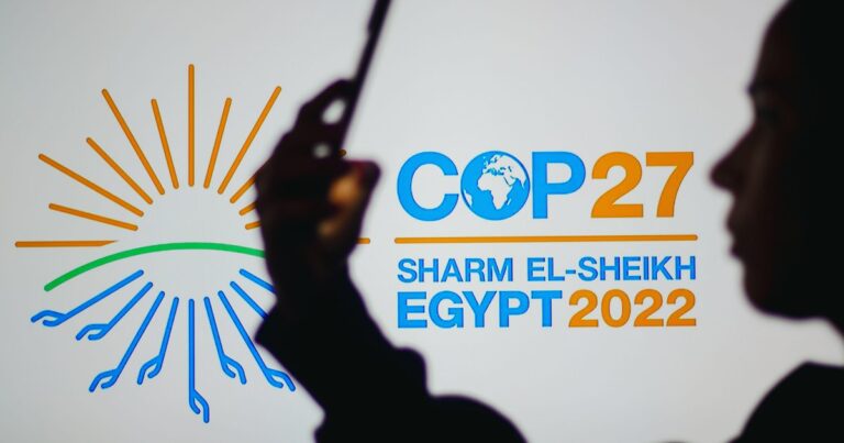 COP OUT in CAIRO