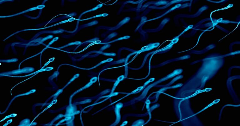 Lack of diversity amongst Sperm Donors?
