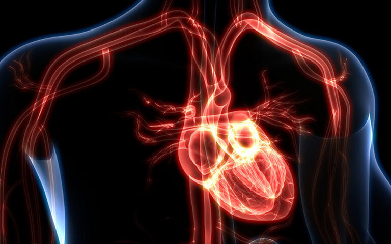Getting to the heart of the matter!