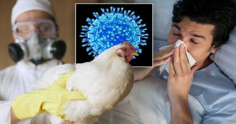 The Bird Flu scam.