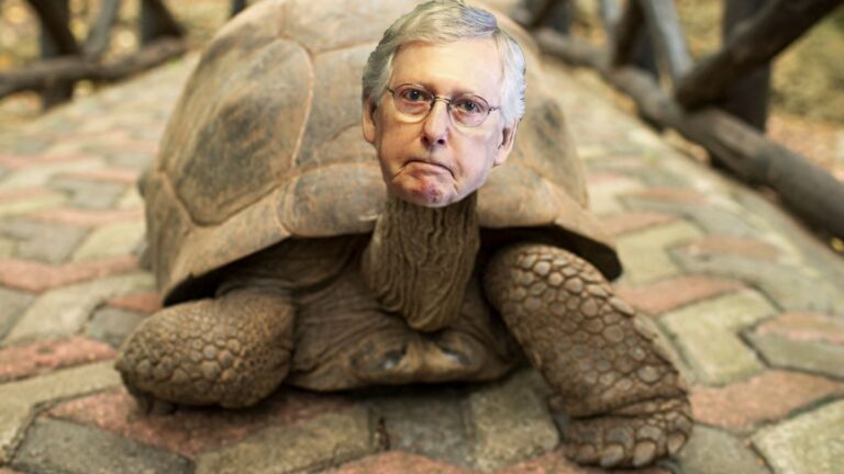 The Betrayal of Mitch McConnell et al