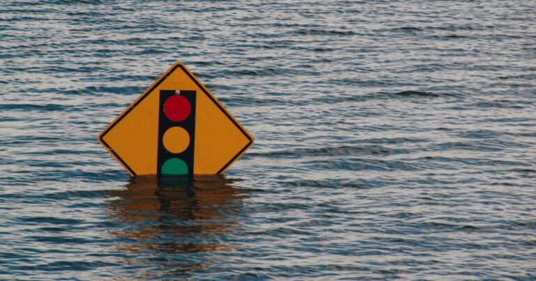 UN Climate catastrophising!