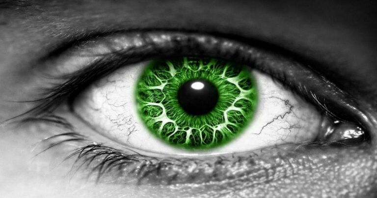 Green Eyed Hypocrisy!