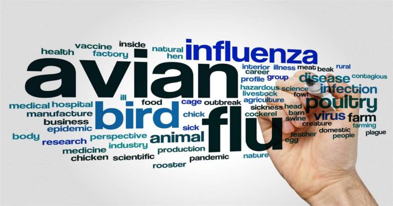 From Swine Flu to Bird Flu to Human Flu!