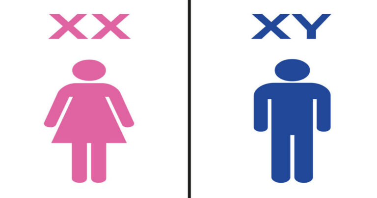 XX and XY!
