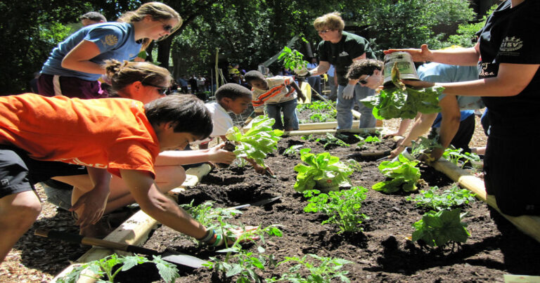 Teaching children to grow FOOD!