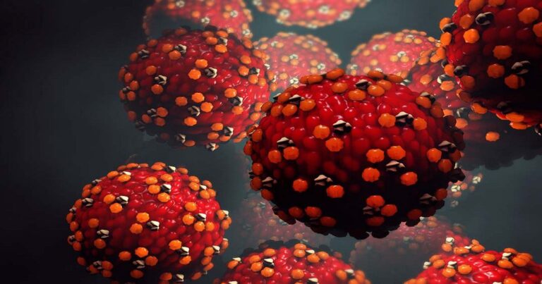 The great MEASLES fraud!