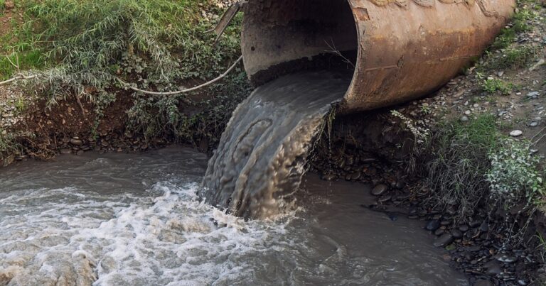 A Tough Solution for the Sewage in Our Rivers