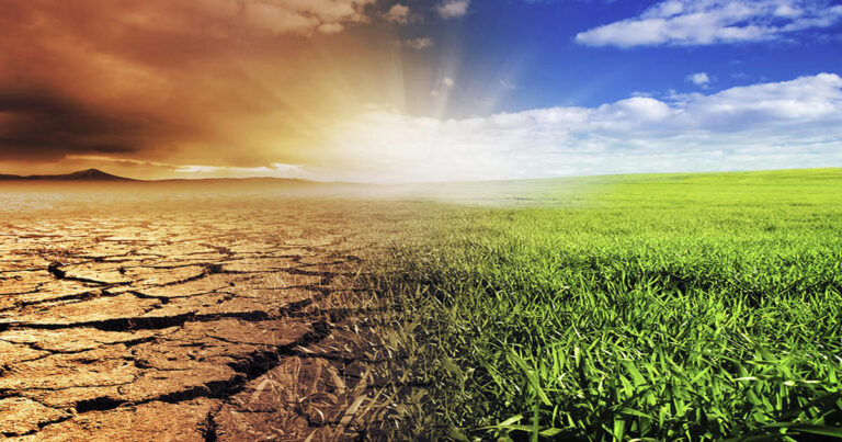 Why do Environmentalist HATE the Environment?