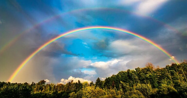 White Erased from the Rainbow