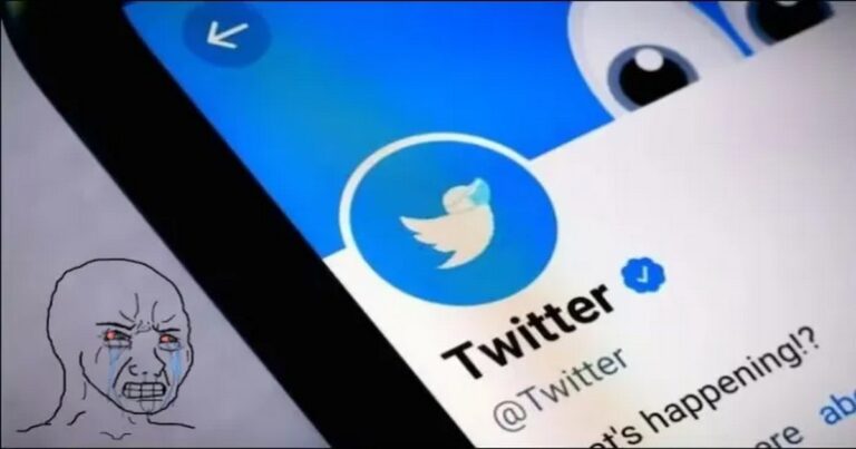 Blue Tick Hysteria!