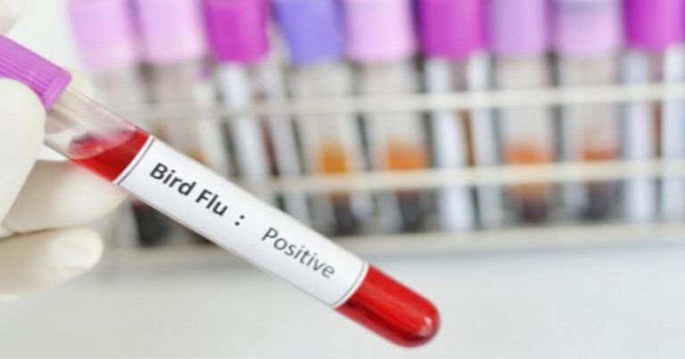 Bird Flu flies the Coop!