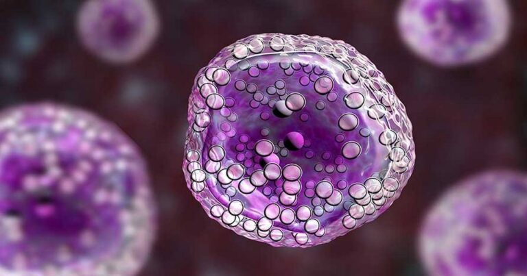 Growth of the Turbo Cancers