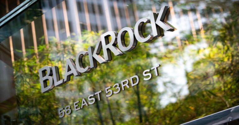 Understanding Blackrock activism