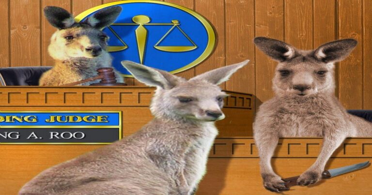 Tie Me Kangaroo Down, Court