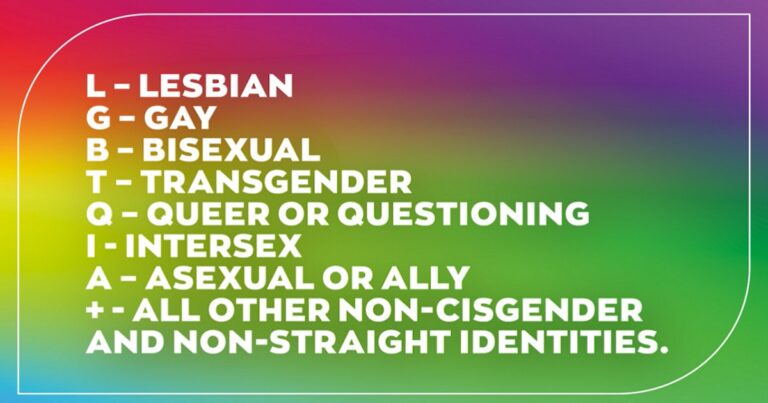 What does the Q+ mean in LGBTQ+?