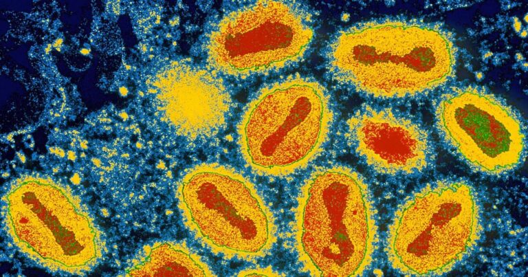 There is a NEW Deadly Virus on the way!