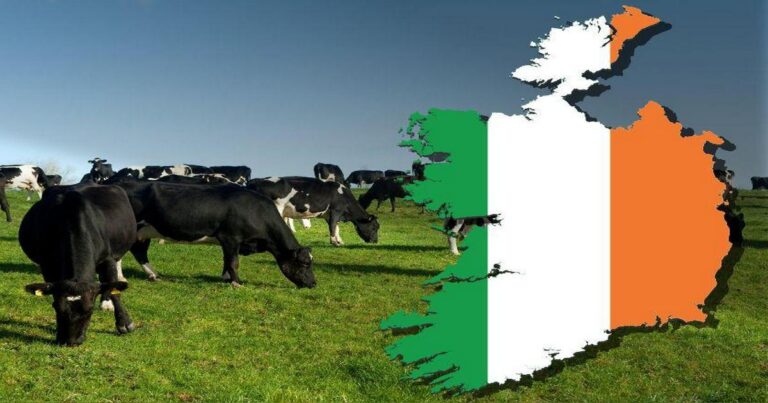 Culling the Herd!