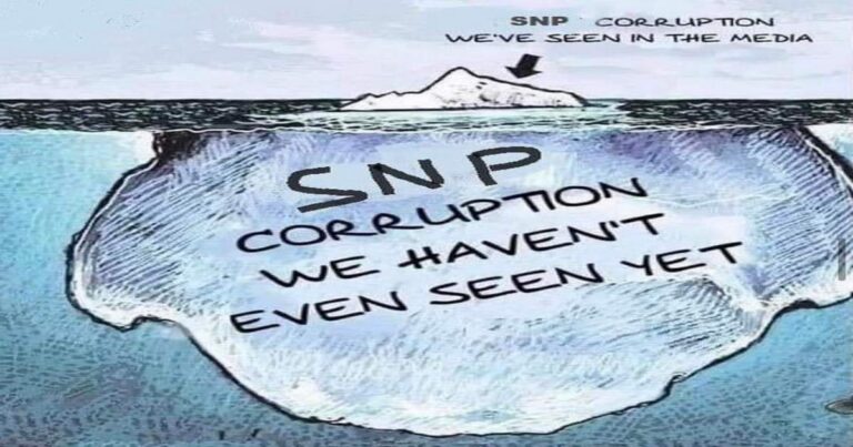 Unravelling the Tangled Web of the SNP