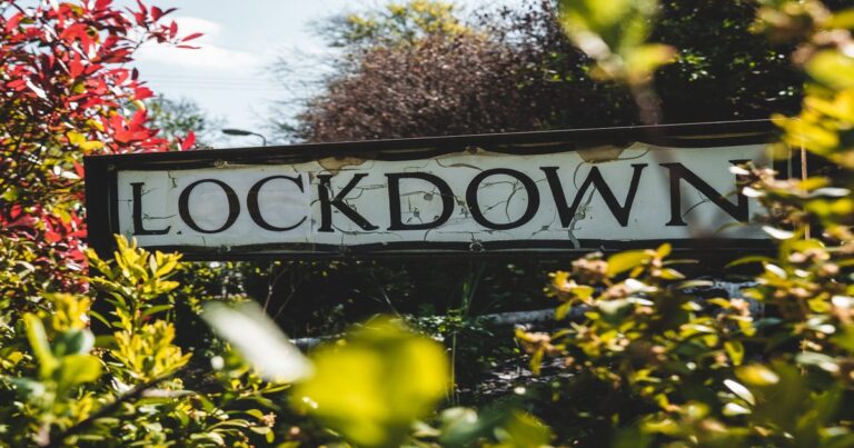 Lockdowns were always a BAD idea!