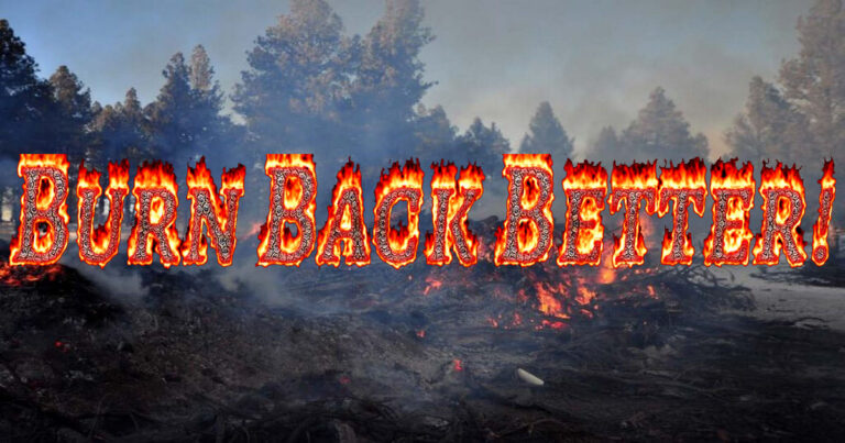 Burn Back Better.