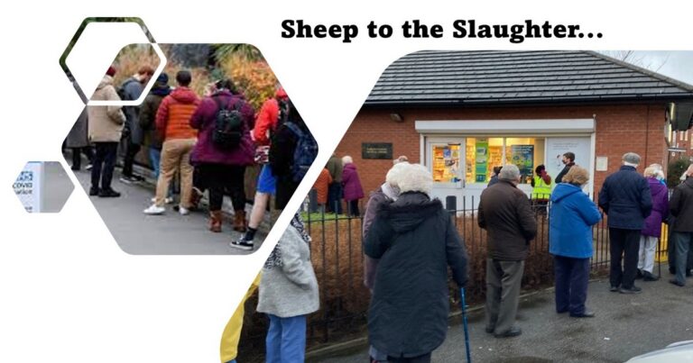 Sheep to the Slaughter…