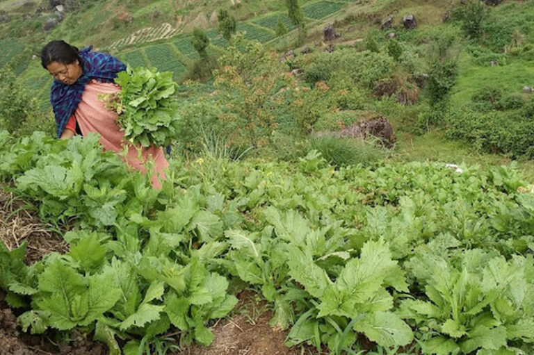 Have your hearts for poor farmers