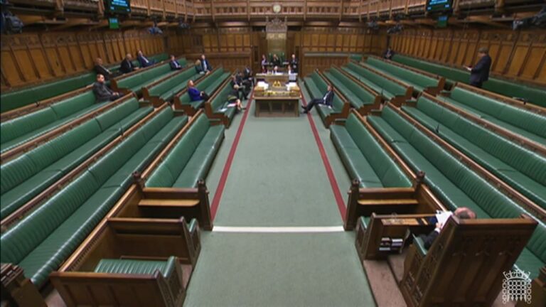 Excess Deaths – in the Commons