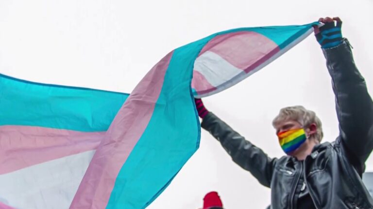 A lesson in transgender dystopia