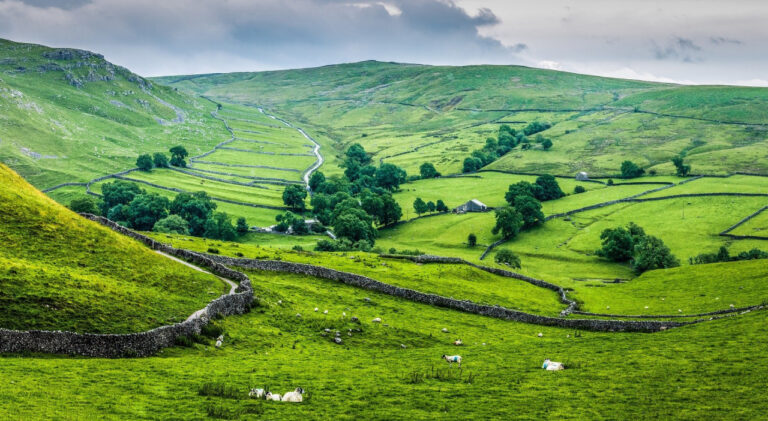 Is the Countryside “racist and colonial”