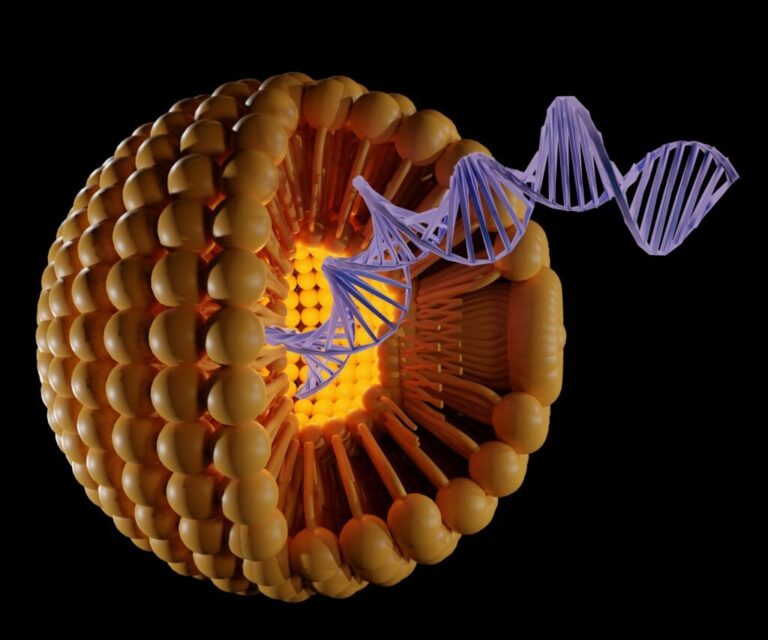 Lipid Particles and mRNA – the deadly 1-2!