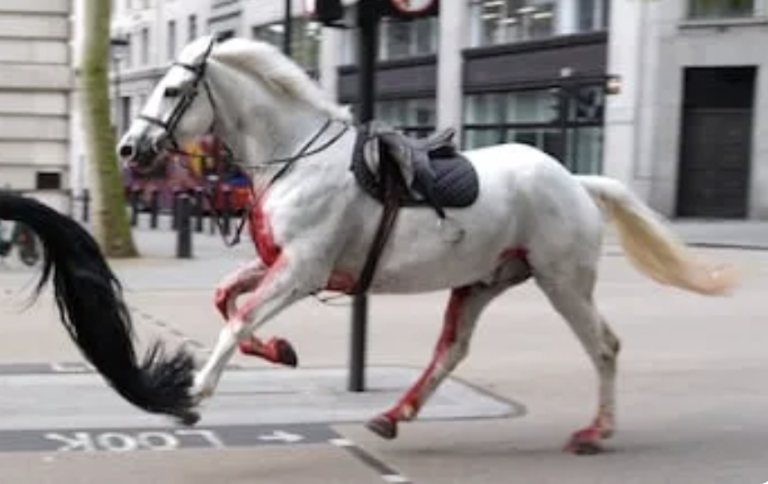 Strange Events in London