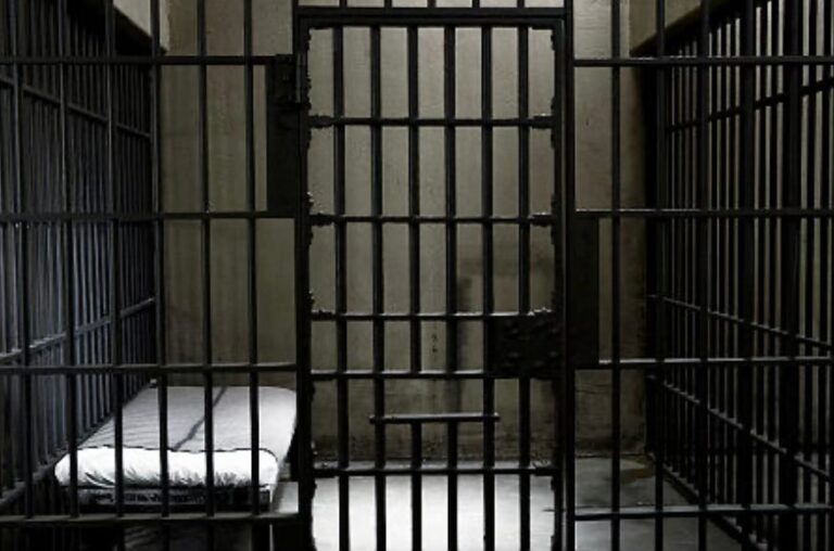 Soft on crime, softer on the causes of crime