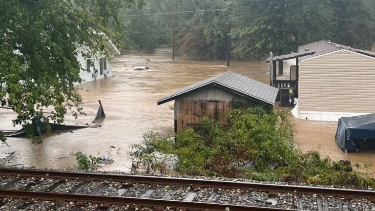 Is FEMA a domestic terrorist organisation?
