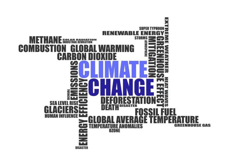 Net Zero destroys all that it touches