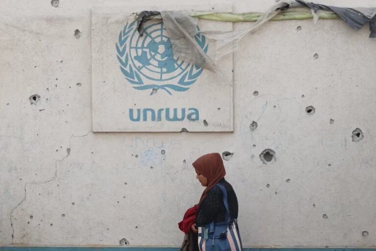 UN and the Terrorist fringe