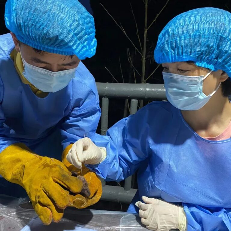 Son of Covid discovered in Wuhan Lab!