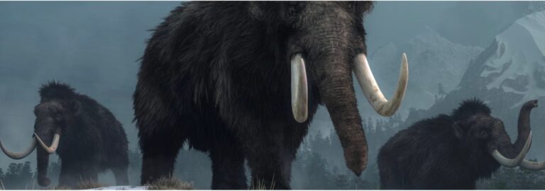 Hairy Elephants and Wooly Mice!