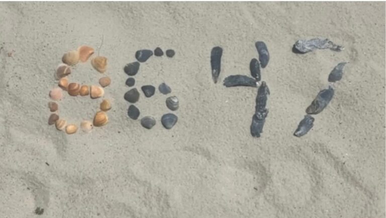8647 – shells on the beach and a message
