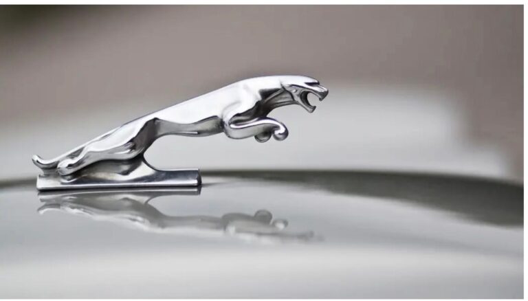 The death of Jaguar