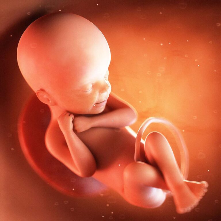 UK is the Abortion Epicentre of the West