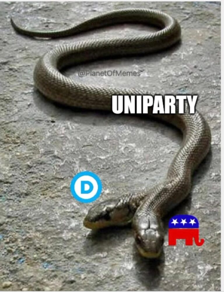 Fifty shades of Grey and the America Party