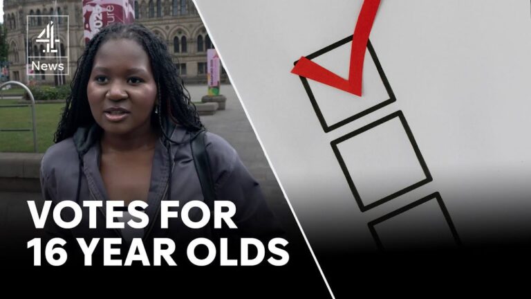 Insanity – 16 year olds get the Vote!